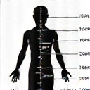 Ikona analizy składu ciała